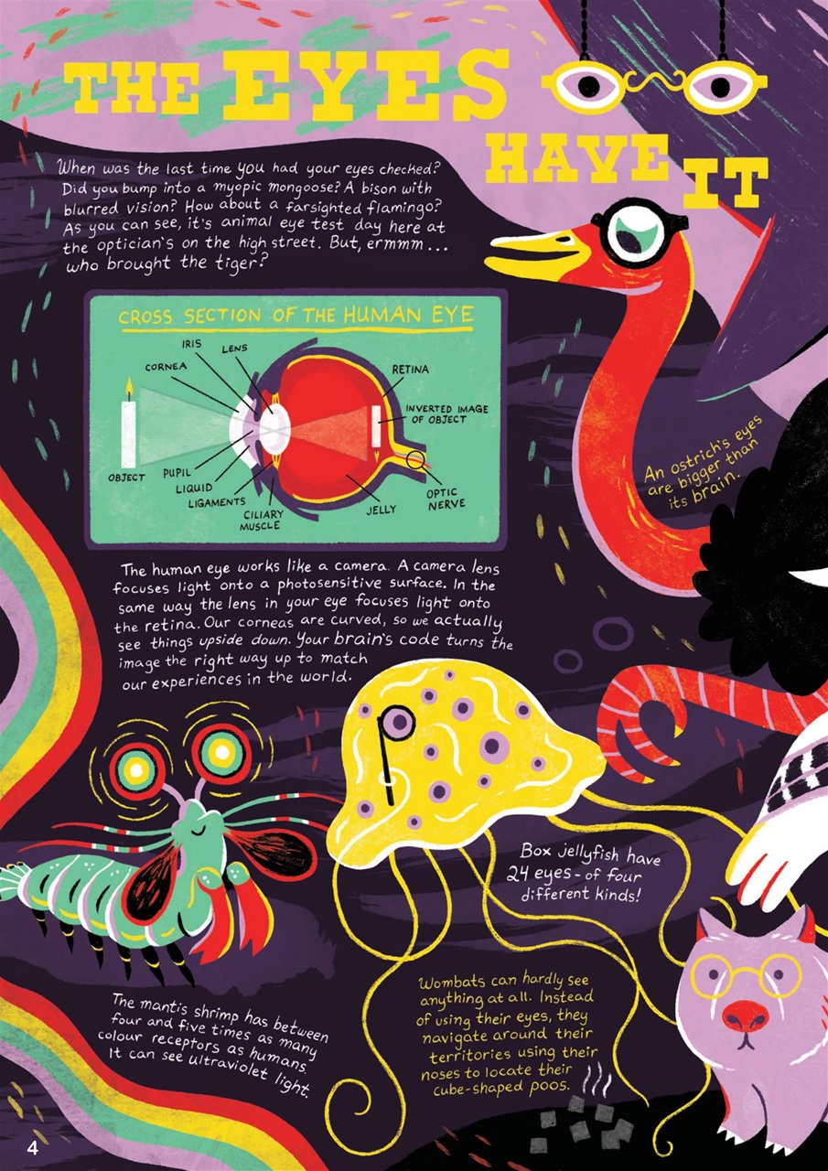 Aquila Preview Pages