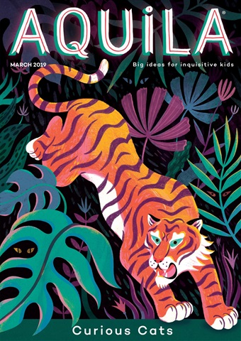 Aquila issue Curious Cats