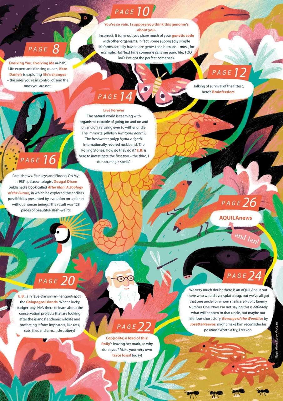 Aquila Preview Pages