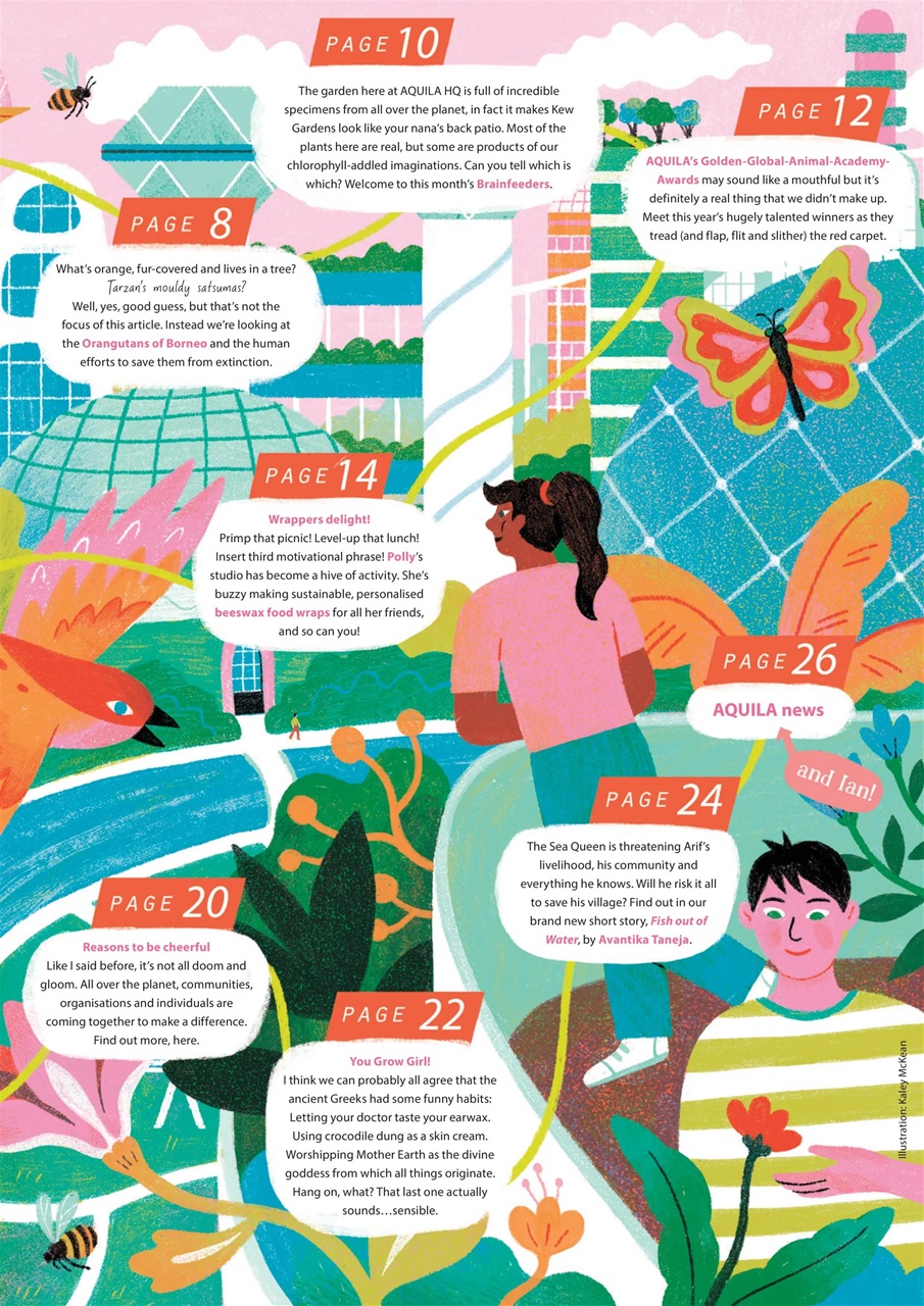 Aquila Preview Pages