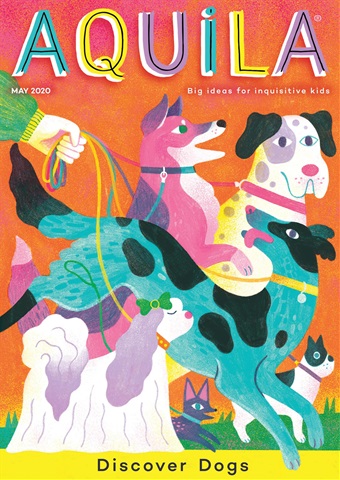 Aquila issue Discover Dogs