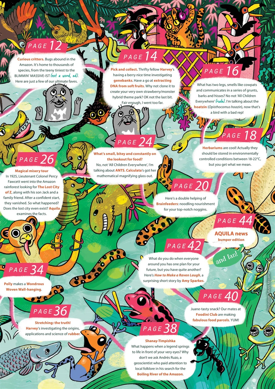 Aquila Preview Pages