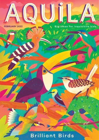 Aquila issue Brilliant Birds