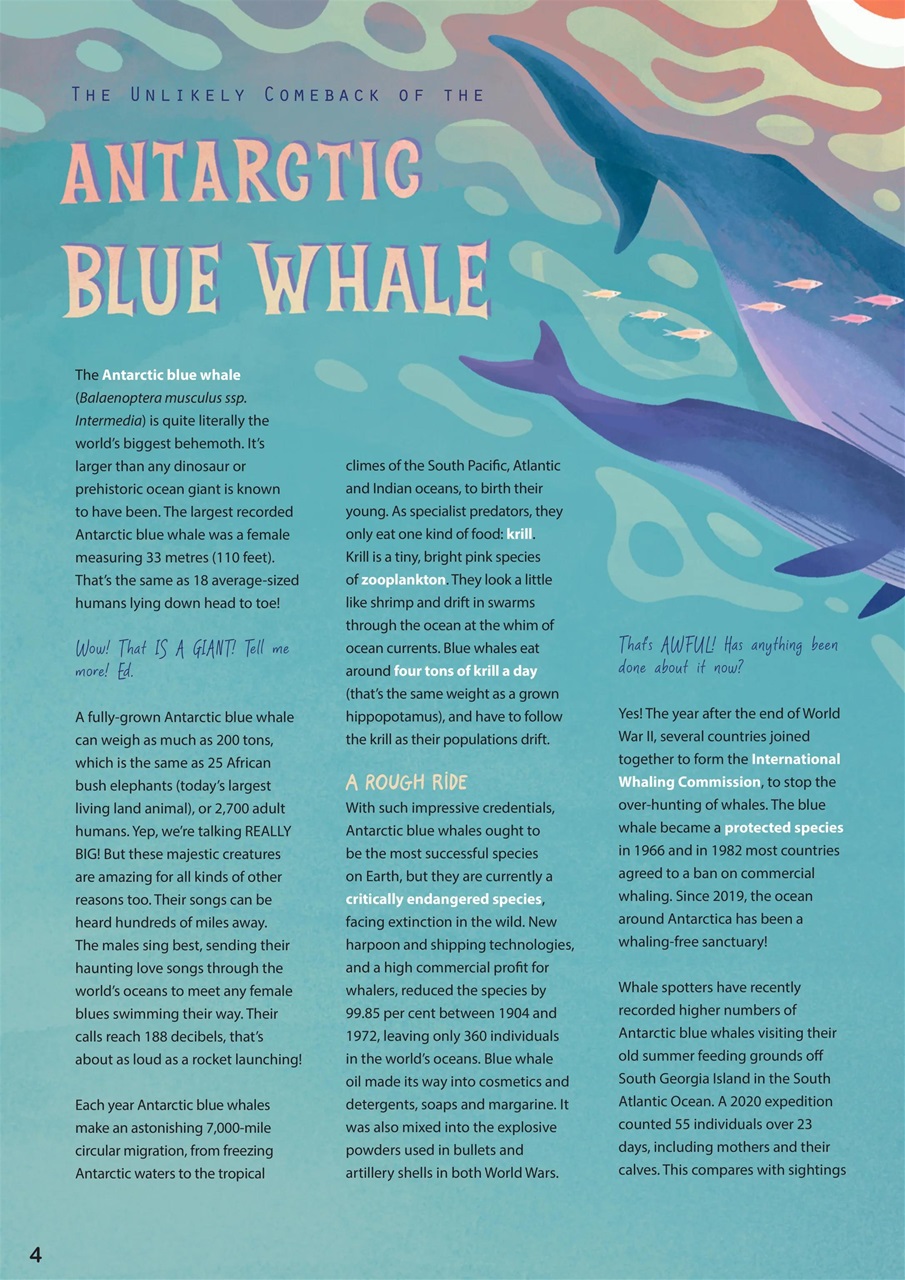 Aquila Preview Pages