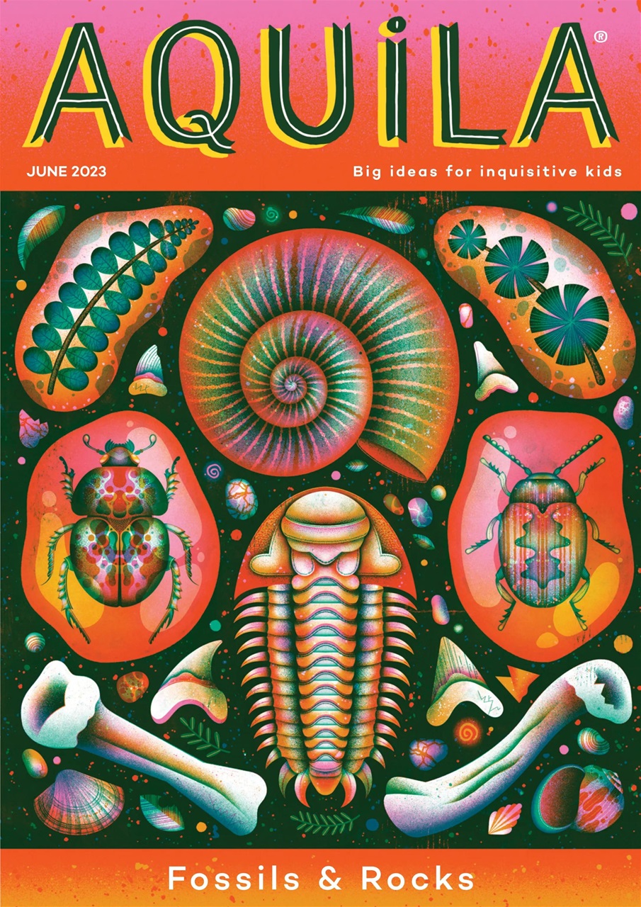 Aquila Preview Pages