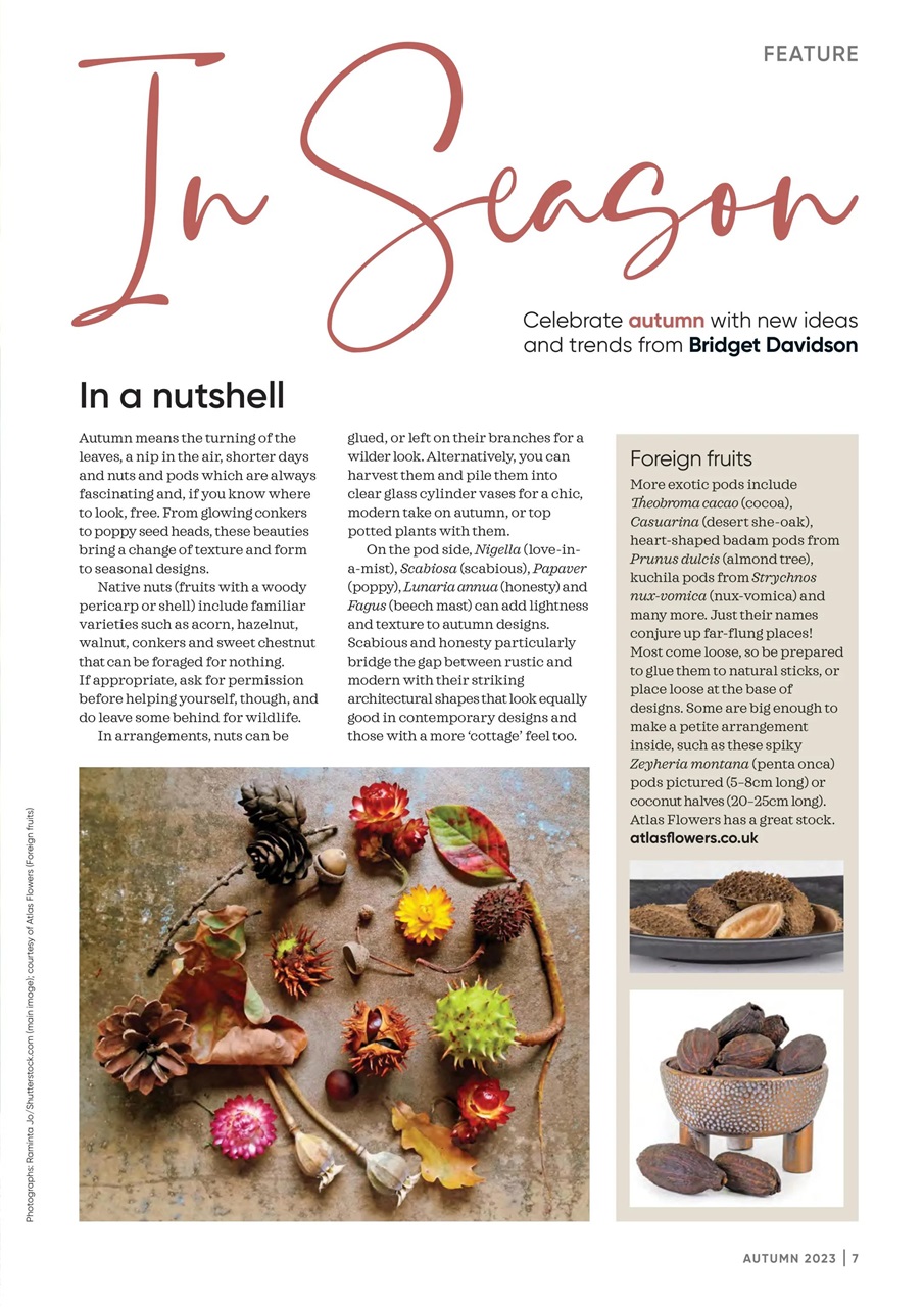 The Flower Arranger Preview Pages