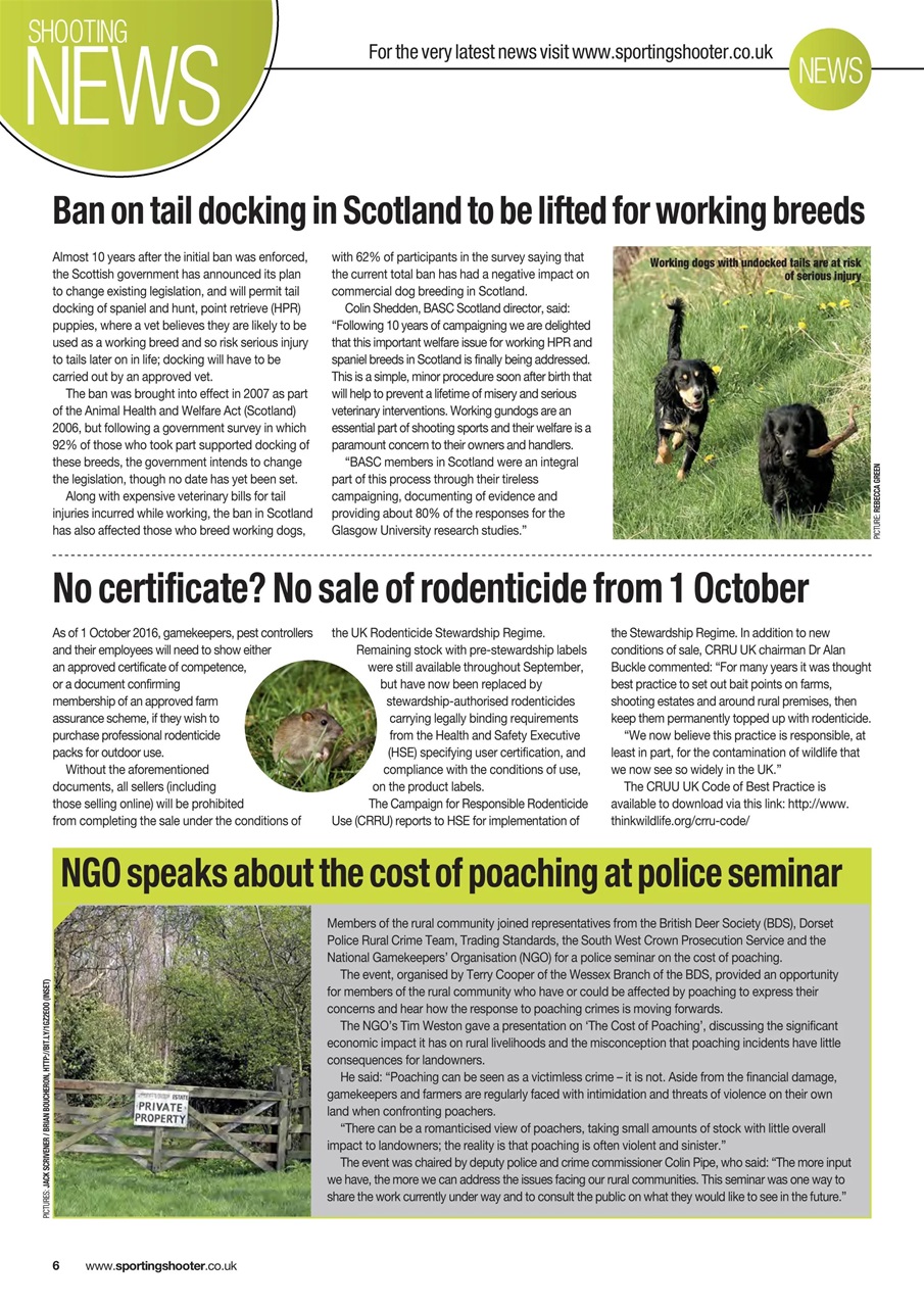 Sporting Gun Preview Pages