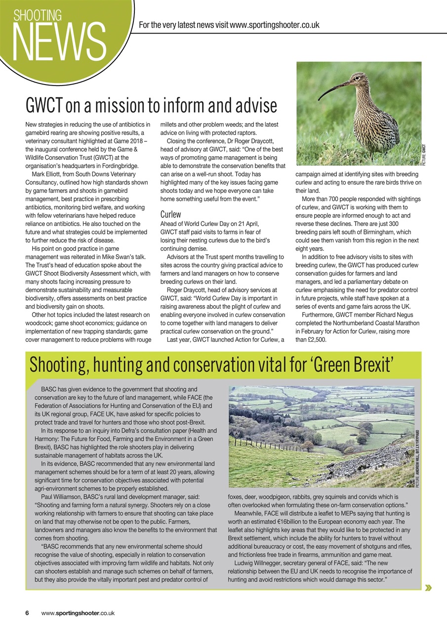 Sporting Gun Preview Pages