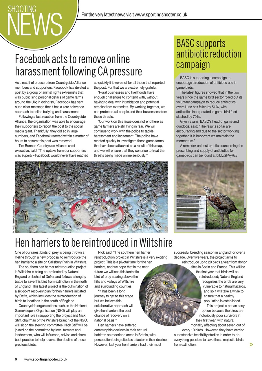 Sporting Gun Preview Pages