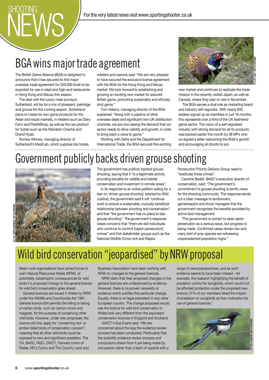 Sporting Gun Preview Pages
