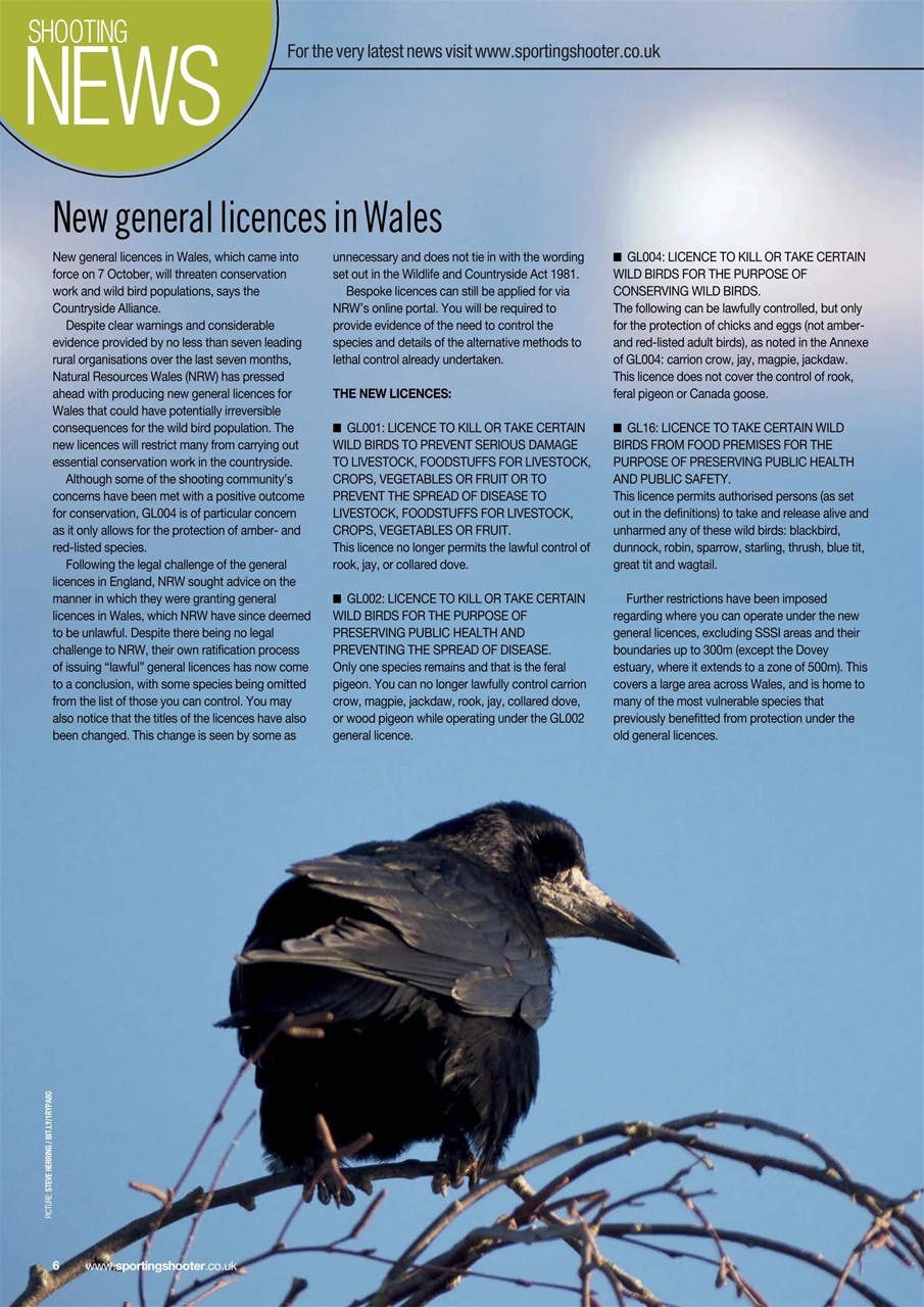 Sporting Gun Preview Pages