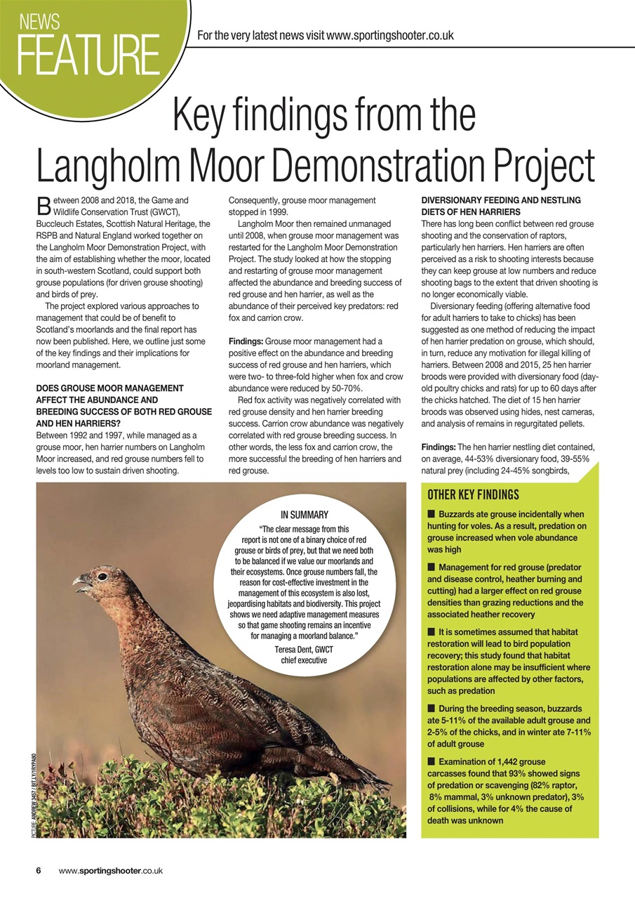 Sporting Gun Preview Pages