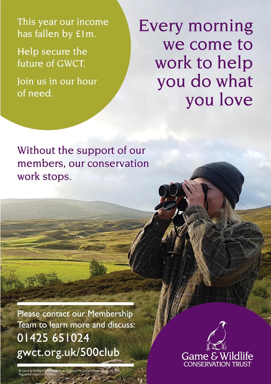 Sporting Gun Preview Pages