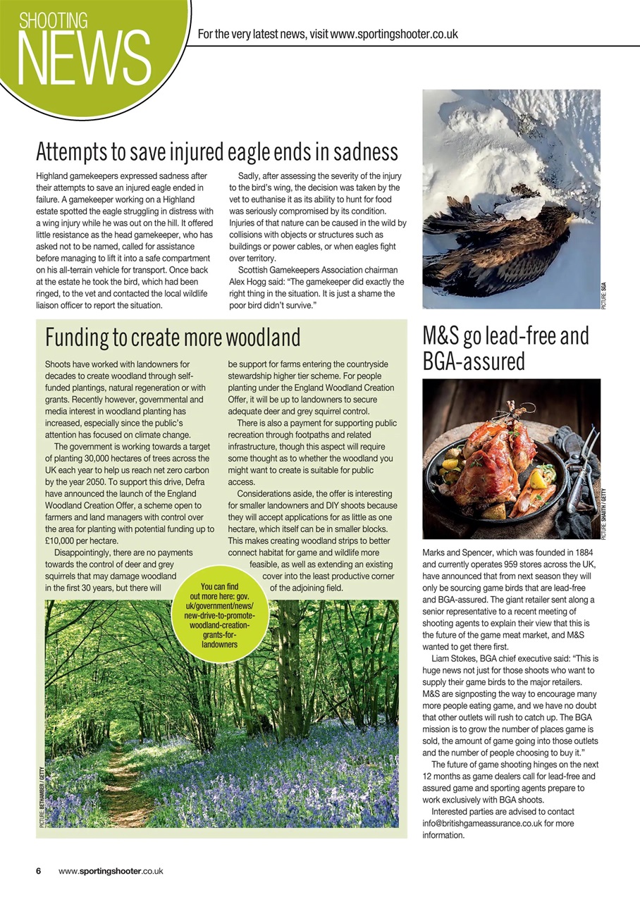 Sporting Gun Preview Pages