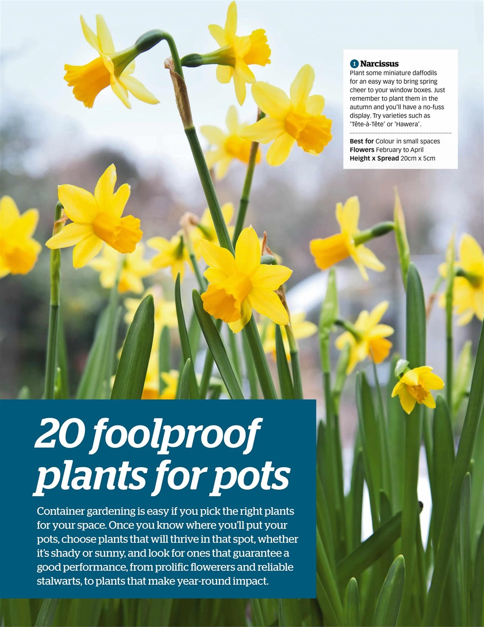 BBC Gardeners’ World Magazine Preview Pages