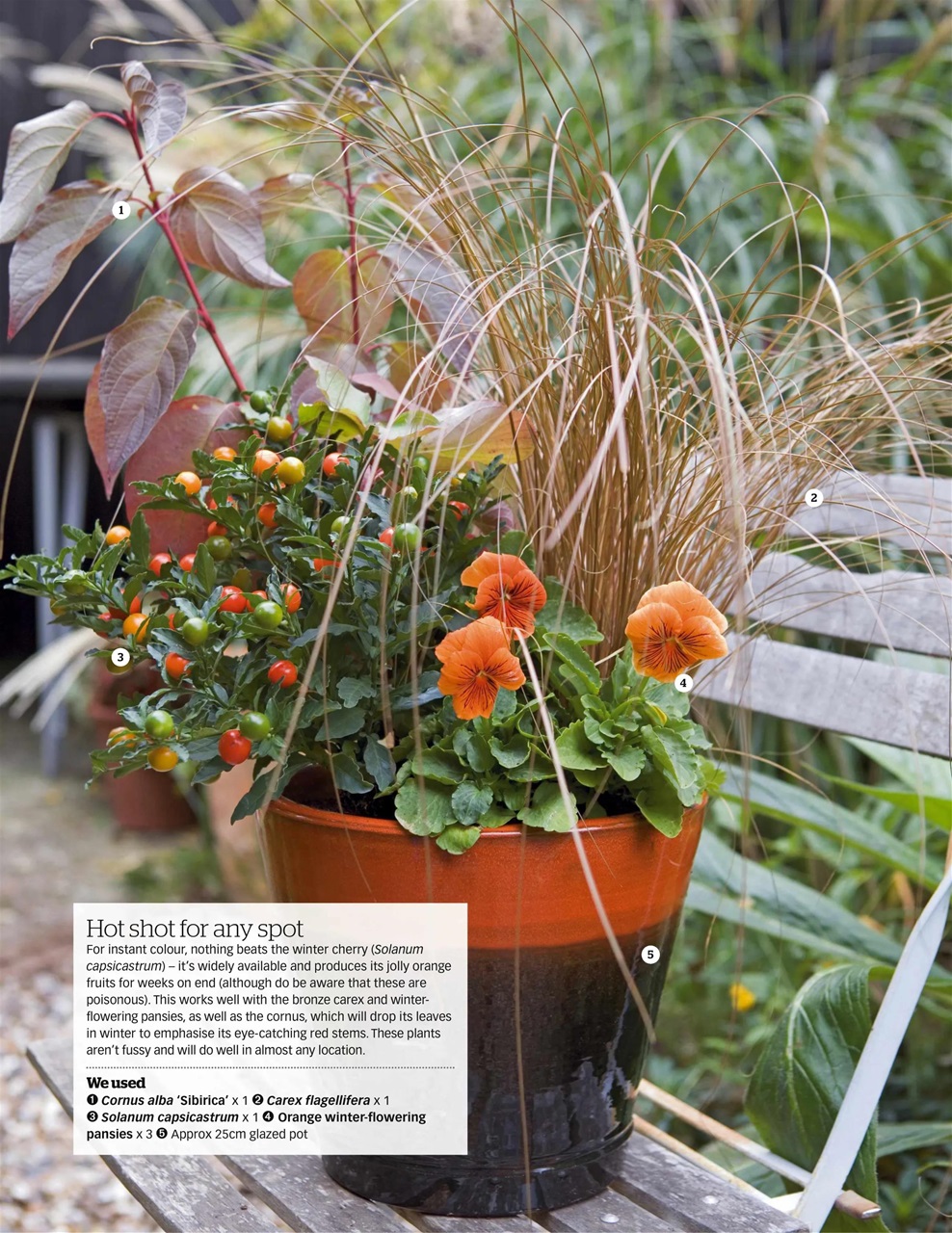 BBC Gardeners’ World Magazine Preview Pages