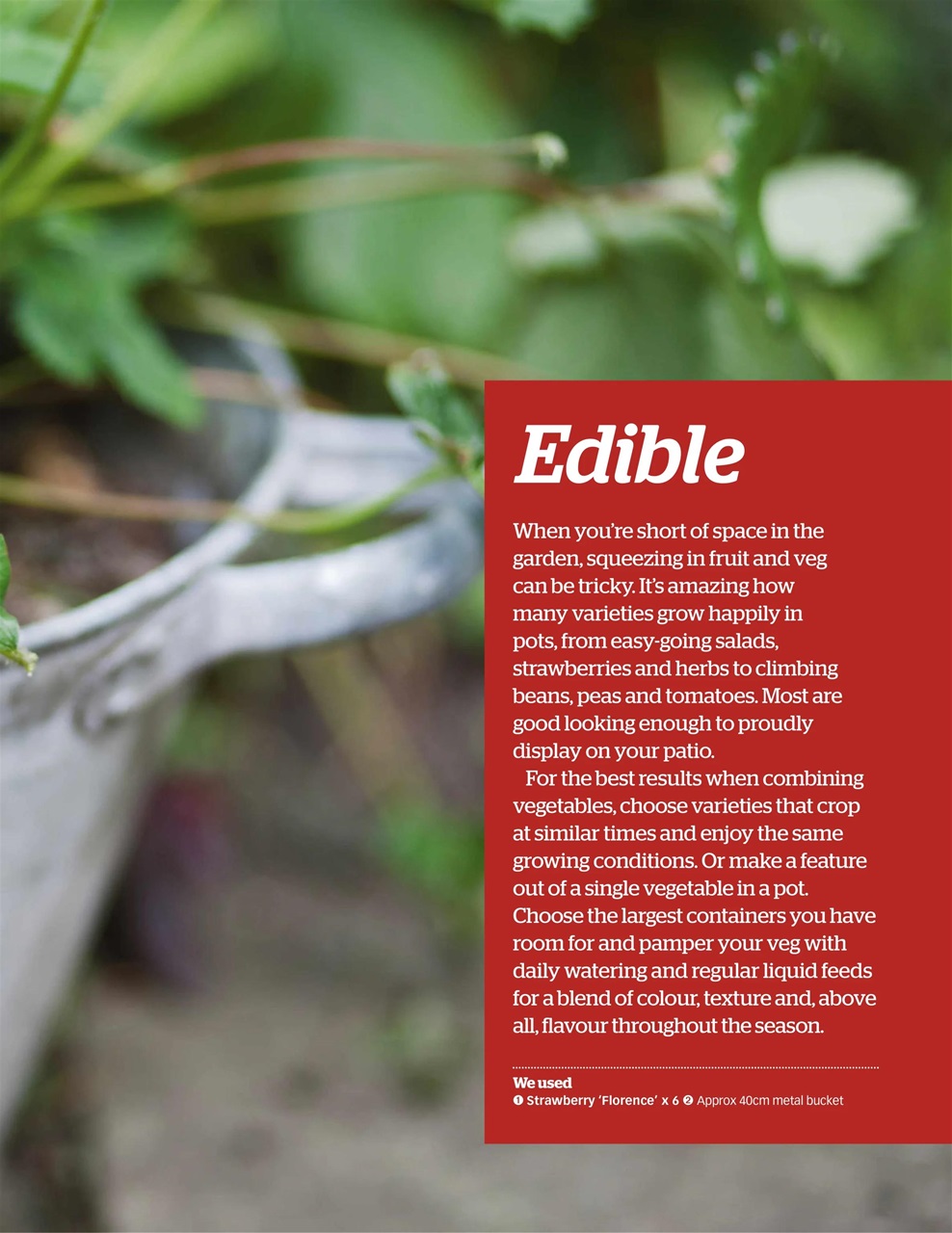 BBC Gardeners’ World Magazine Preview Pages