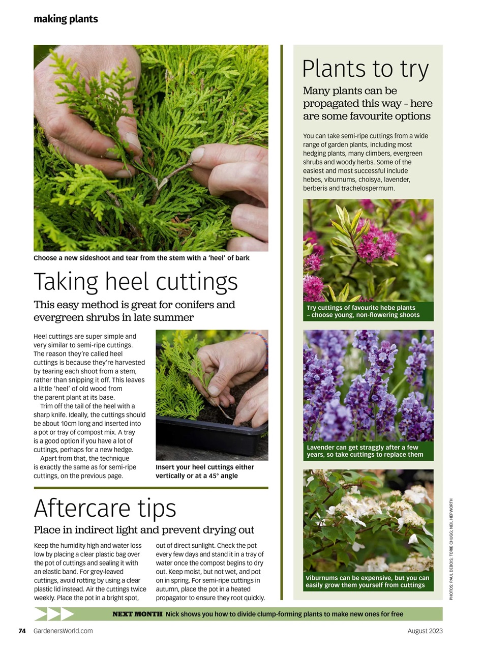 BBC Gardeners’ World Magazine Preview Pages