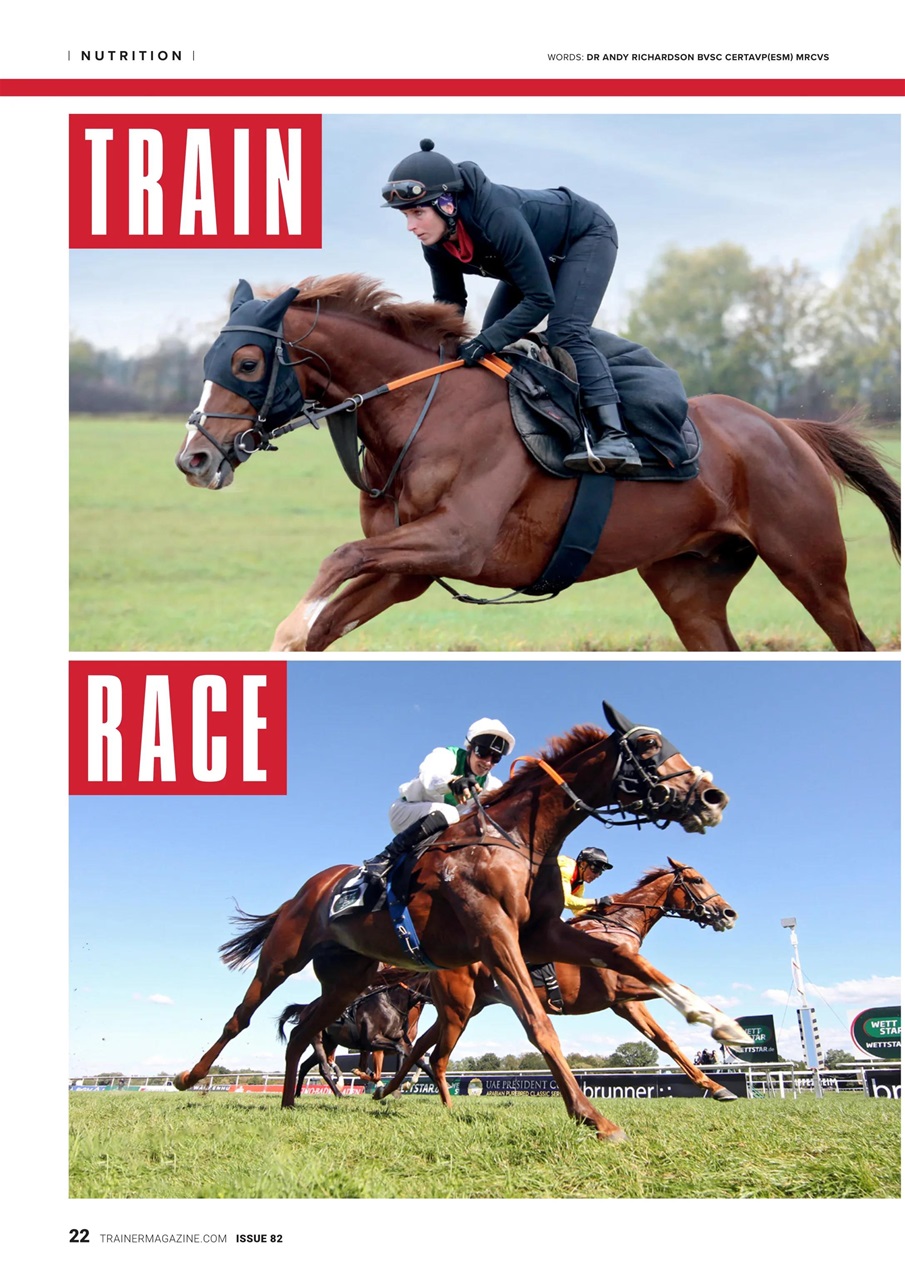 European Trainer Magazine - horse racing Preview Pages