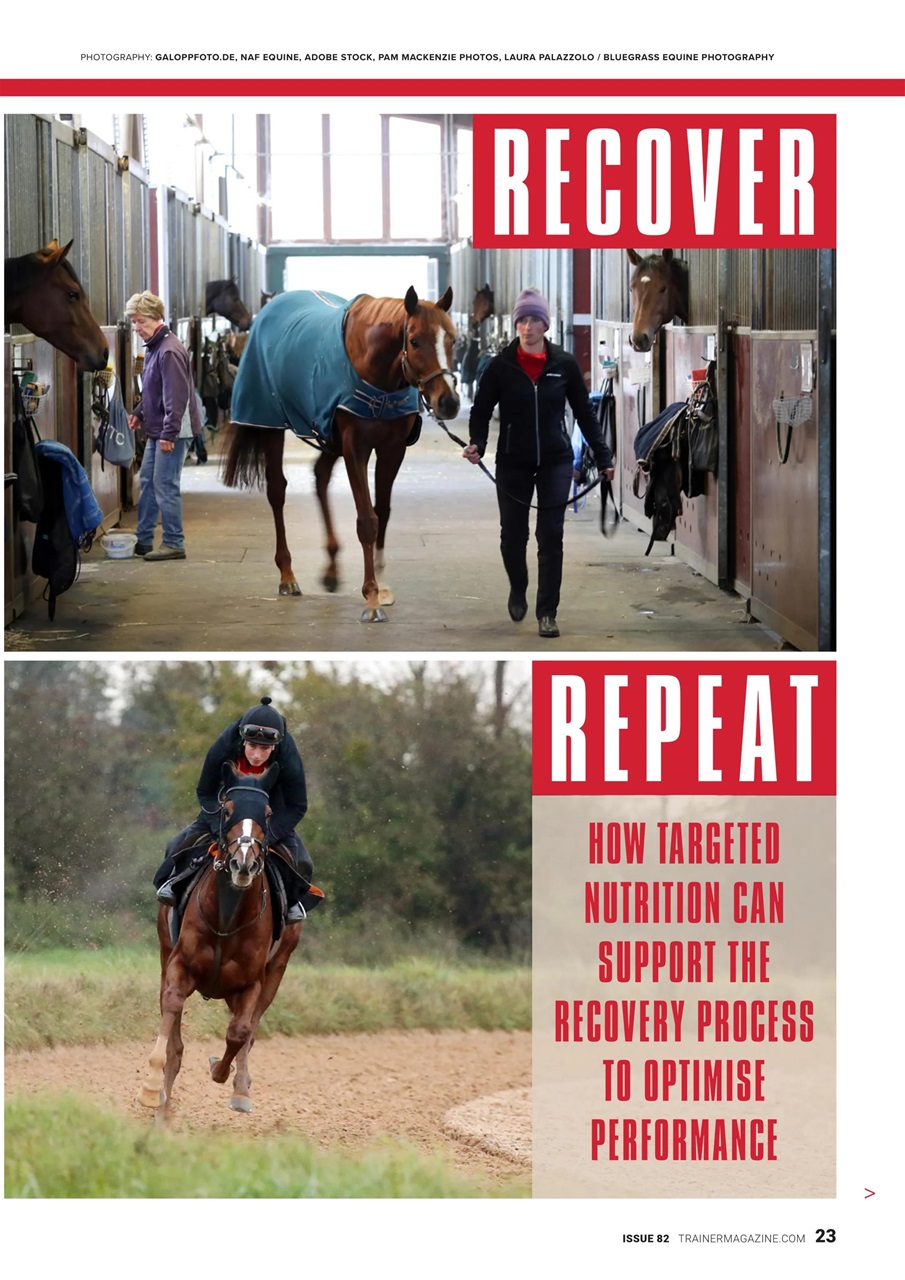 European Trainer Magazine - horse racing Preview Pages