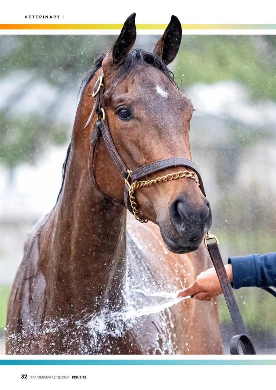 European Trainer Magazine - horse racing Preview Pages