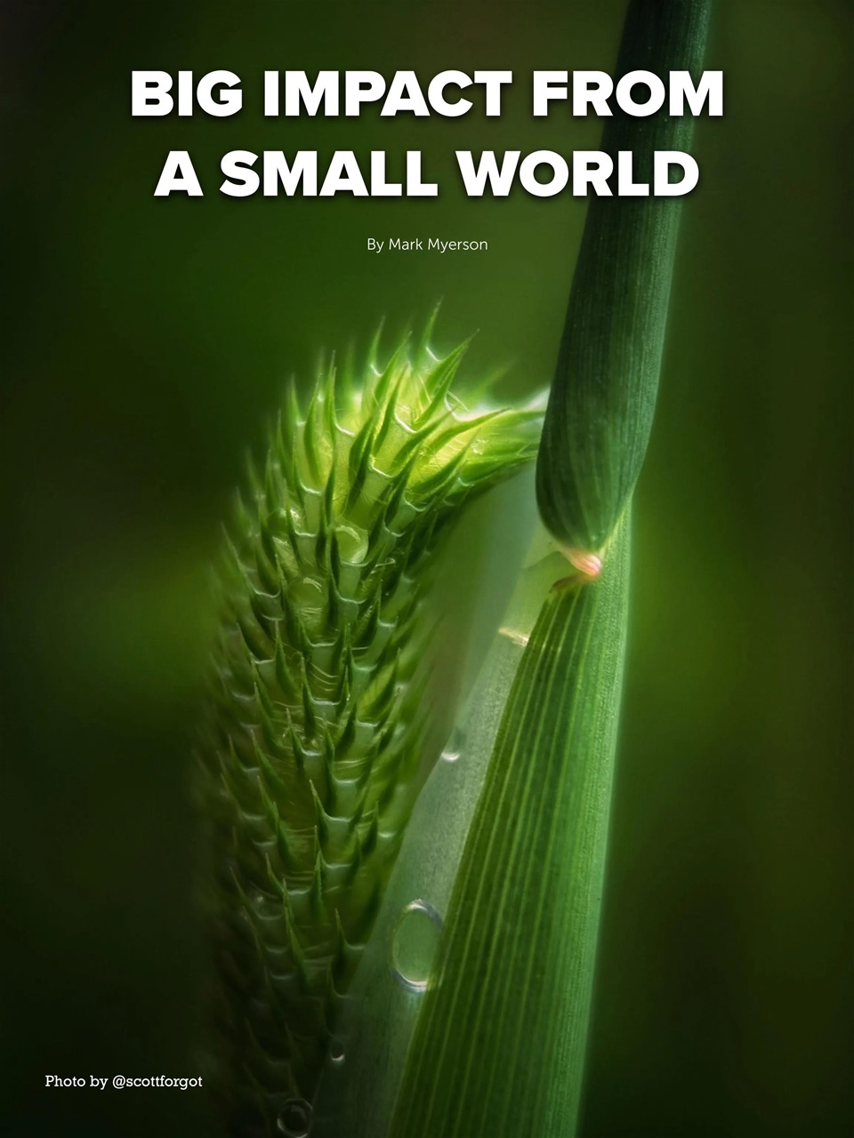 Mobiography Preview Pages