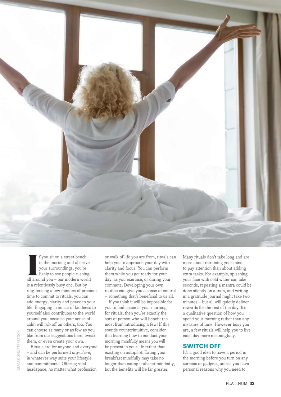 Platinum Preview Pages