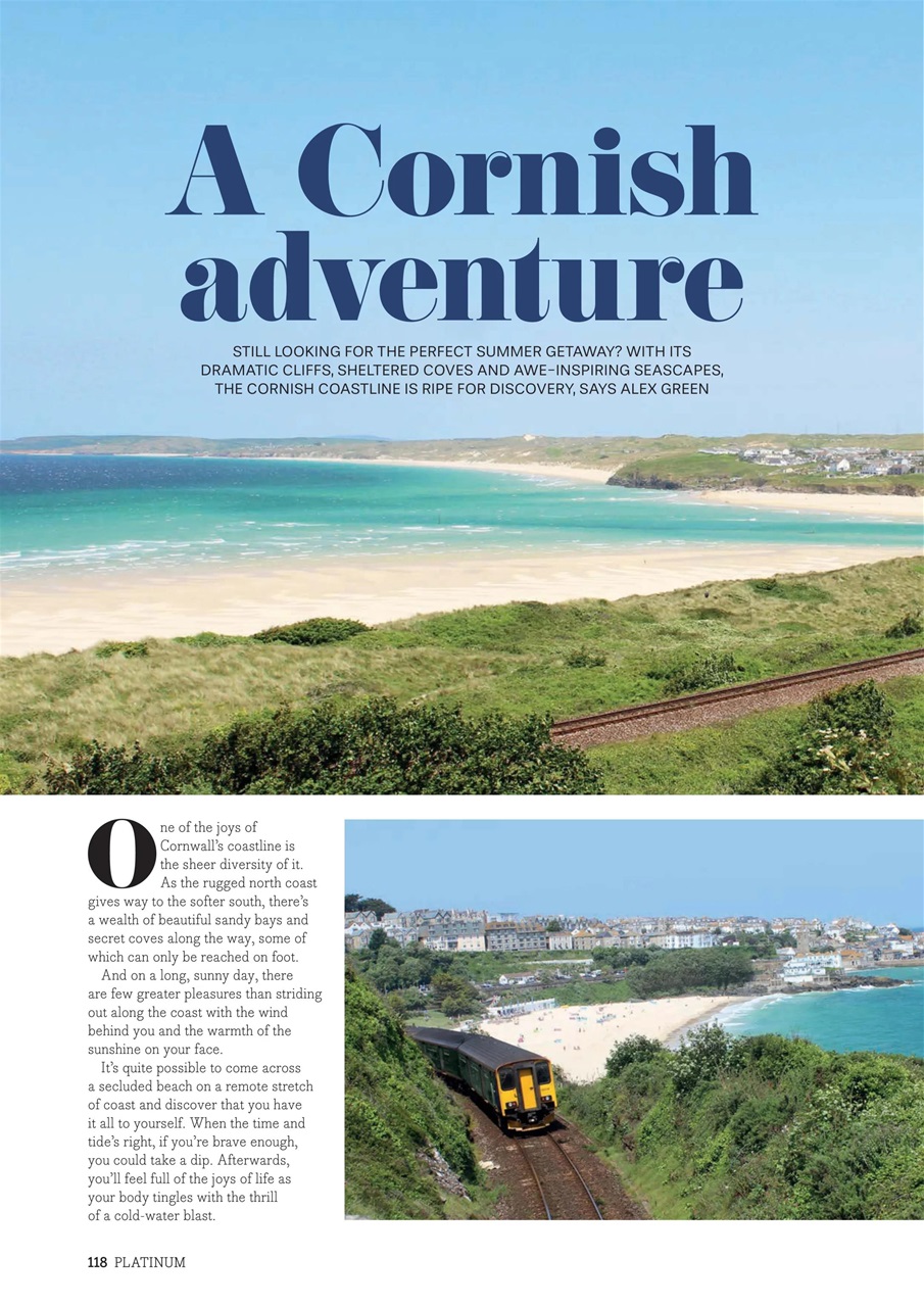 Platinum Preview Pages