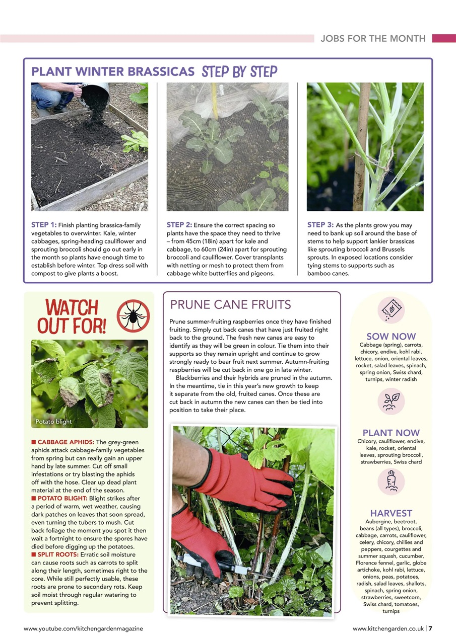 Kitchen Garden Magazine Preview Pages
