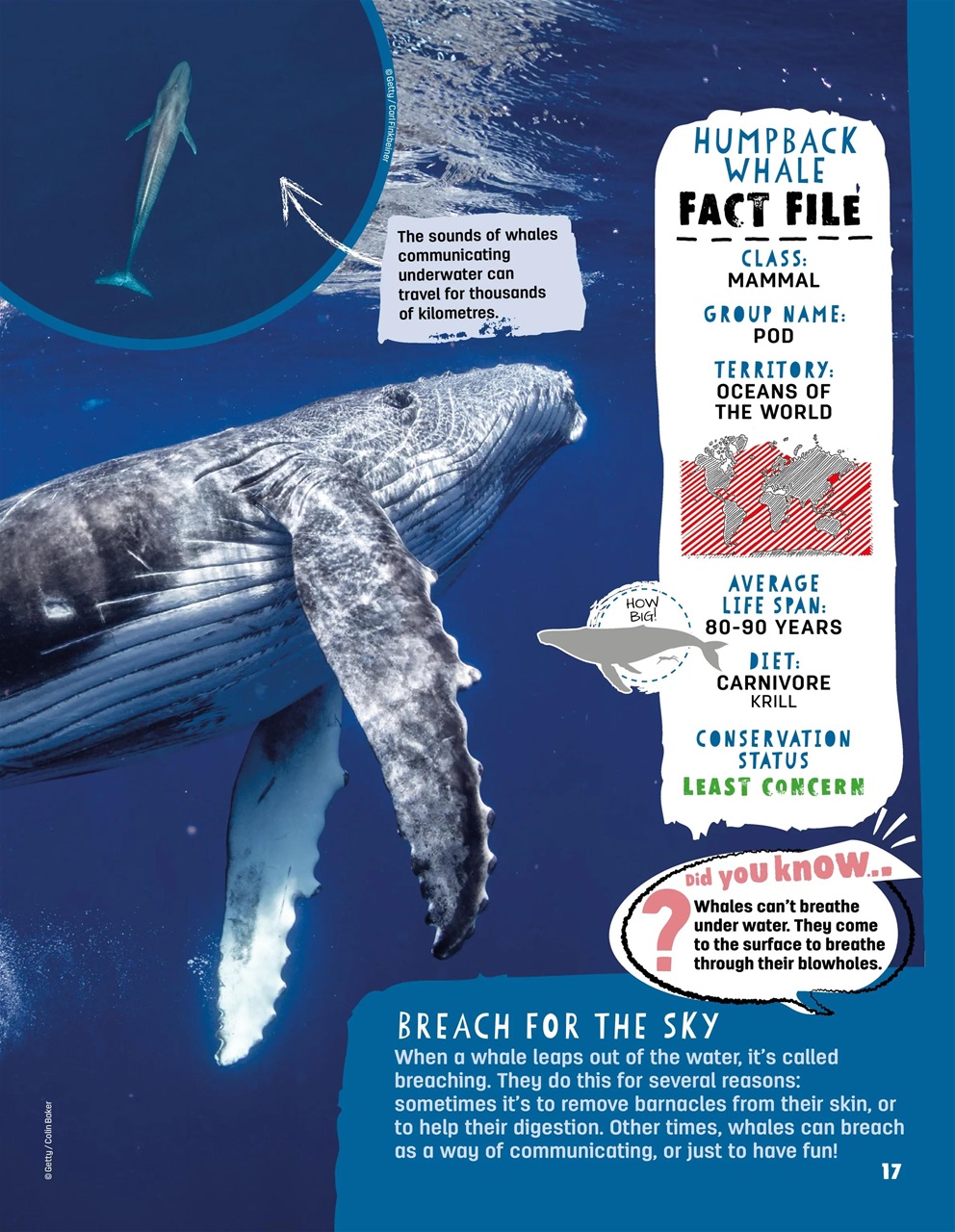 Creative Bookazine Preview Pages