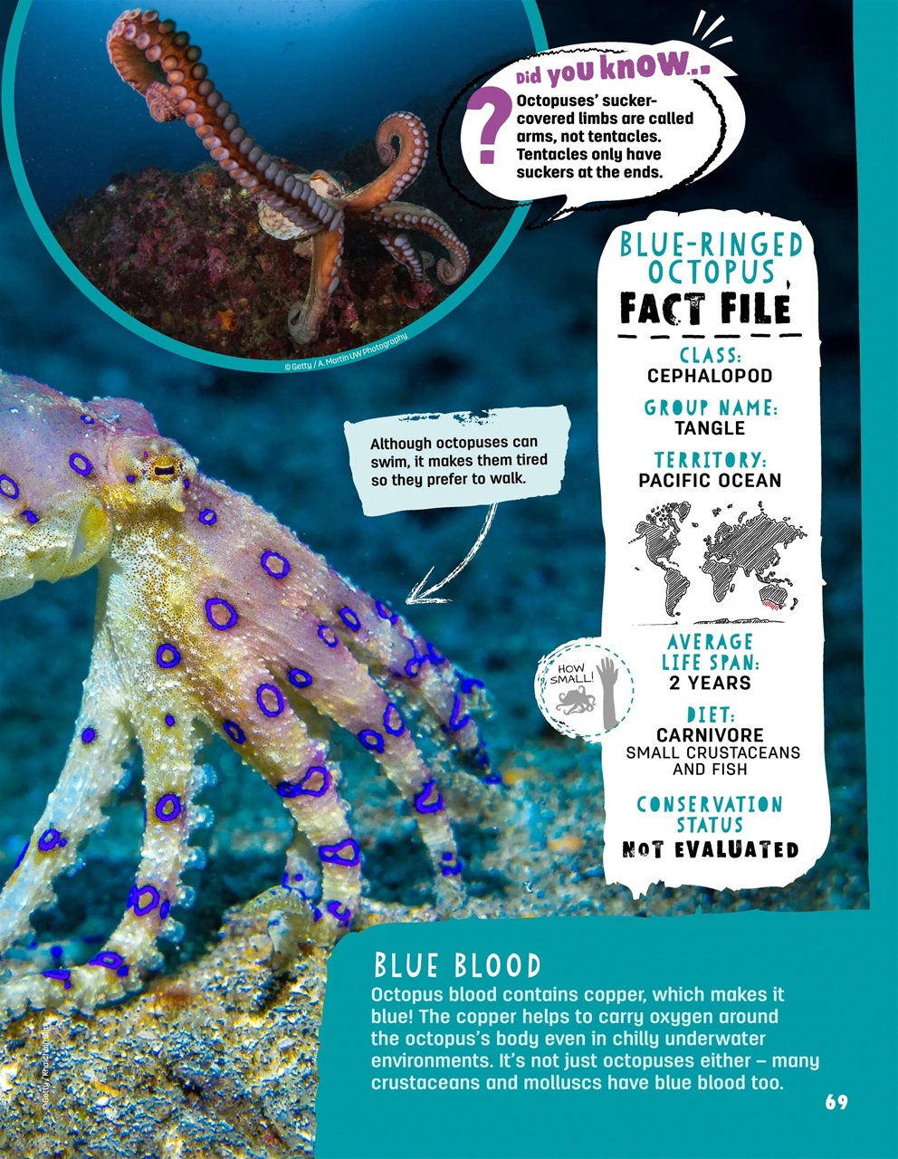 Creative Bookazine Preview Pages