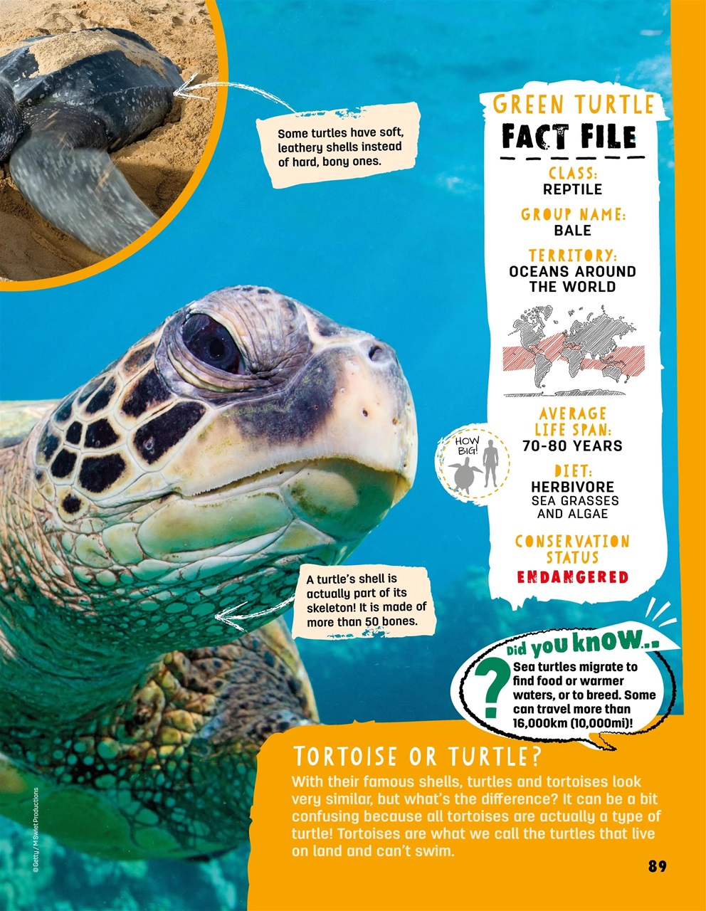 Creative Bookazine Preview Pages