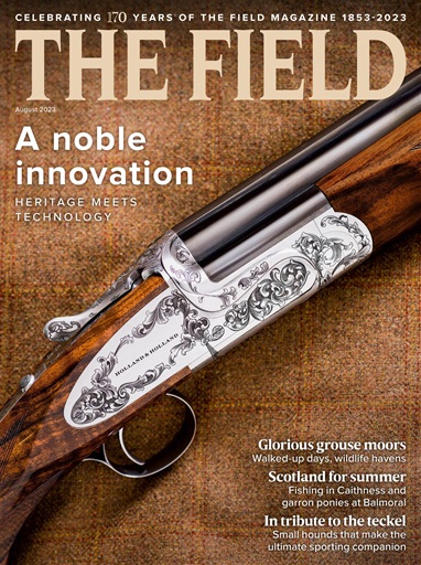 The Field issue 