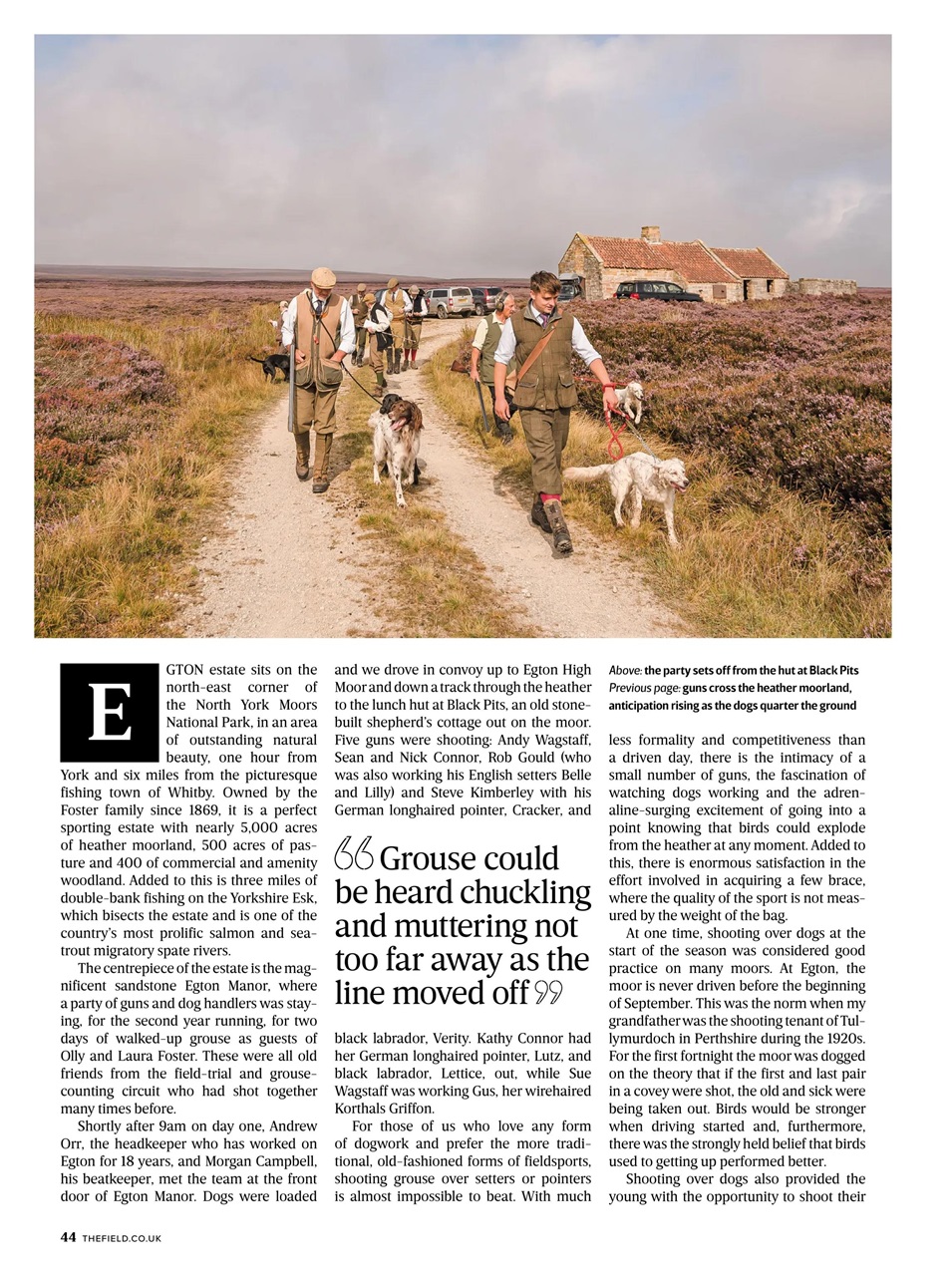 The Field Preview Pages