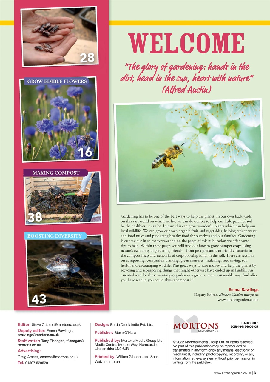 Mortons Books Preview Pages