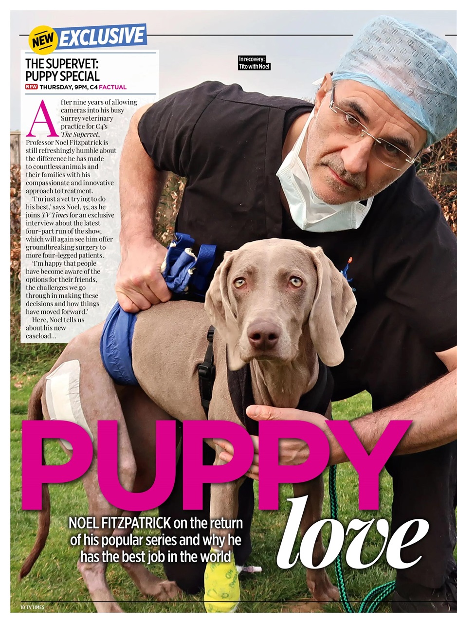 TV Times Preview Pages