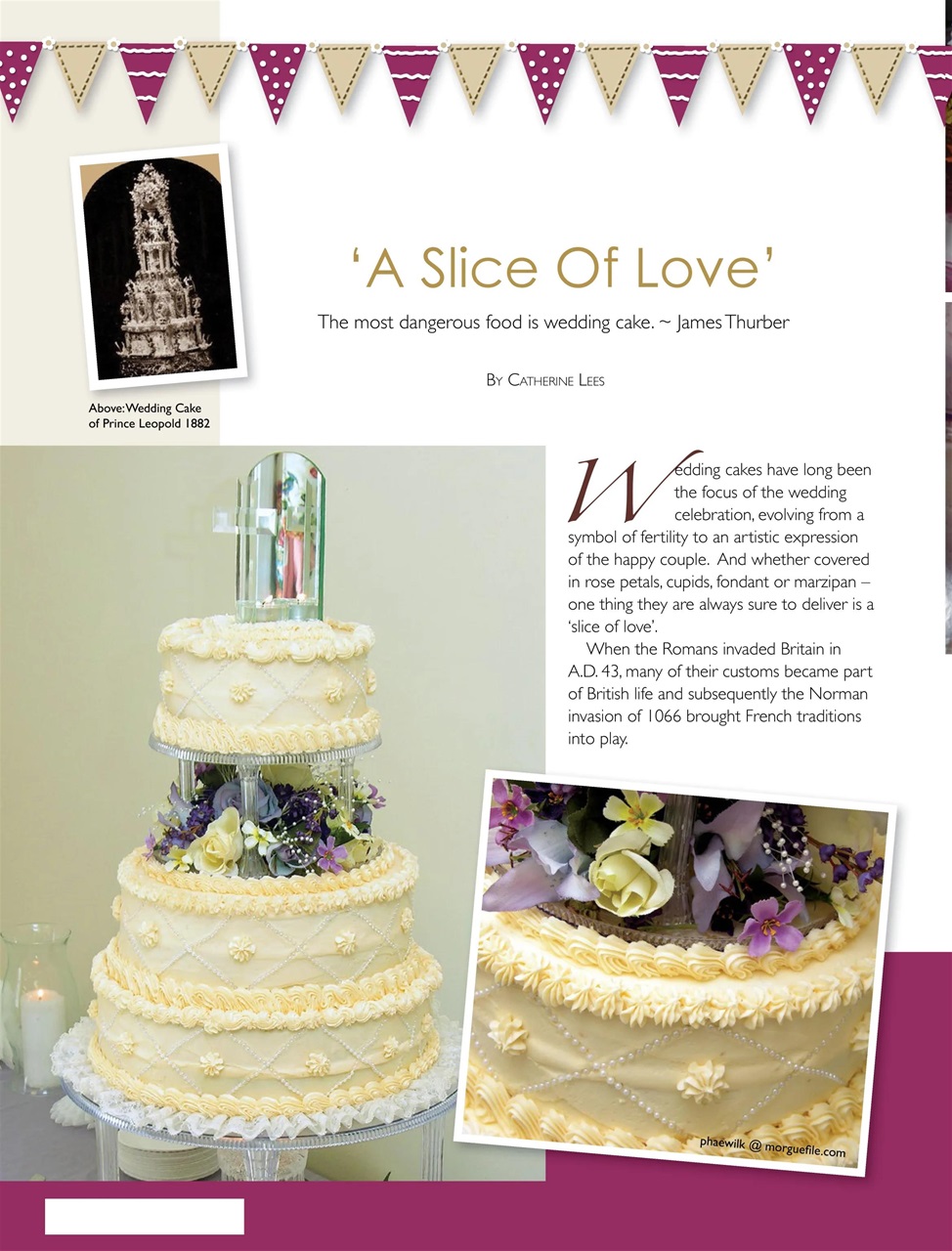 Creative Sugar Craft Preview Pages