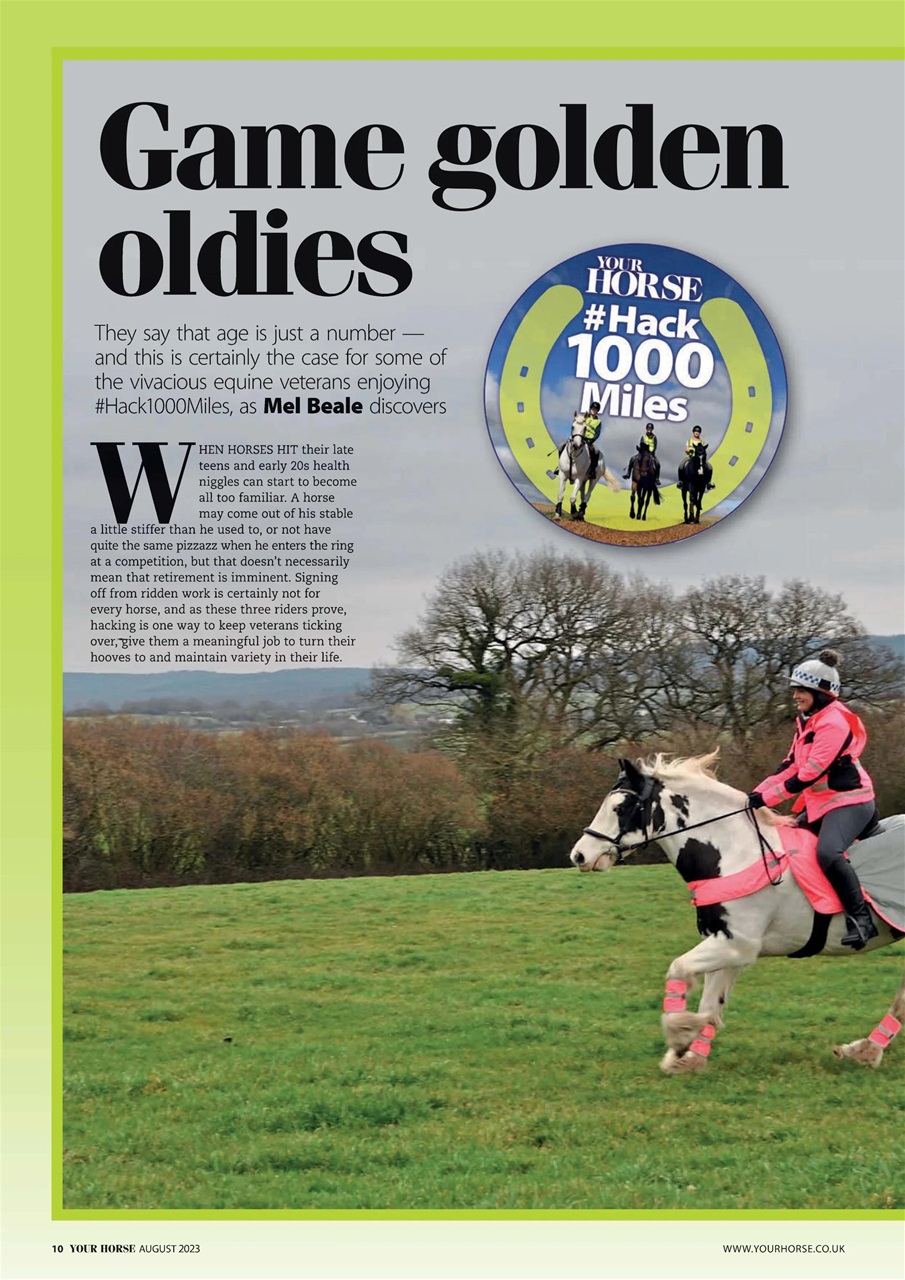 Your Horse Preview Pages