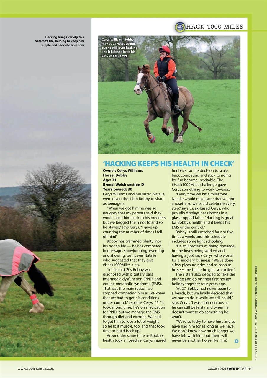 Your Horse Preview Pages