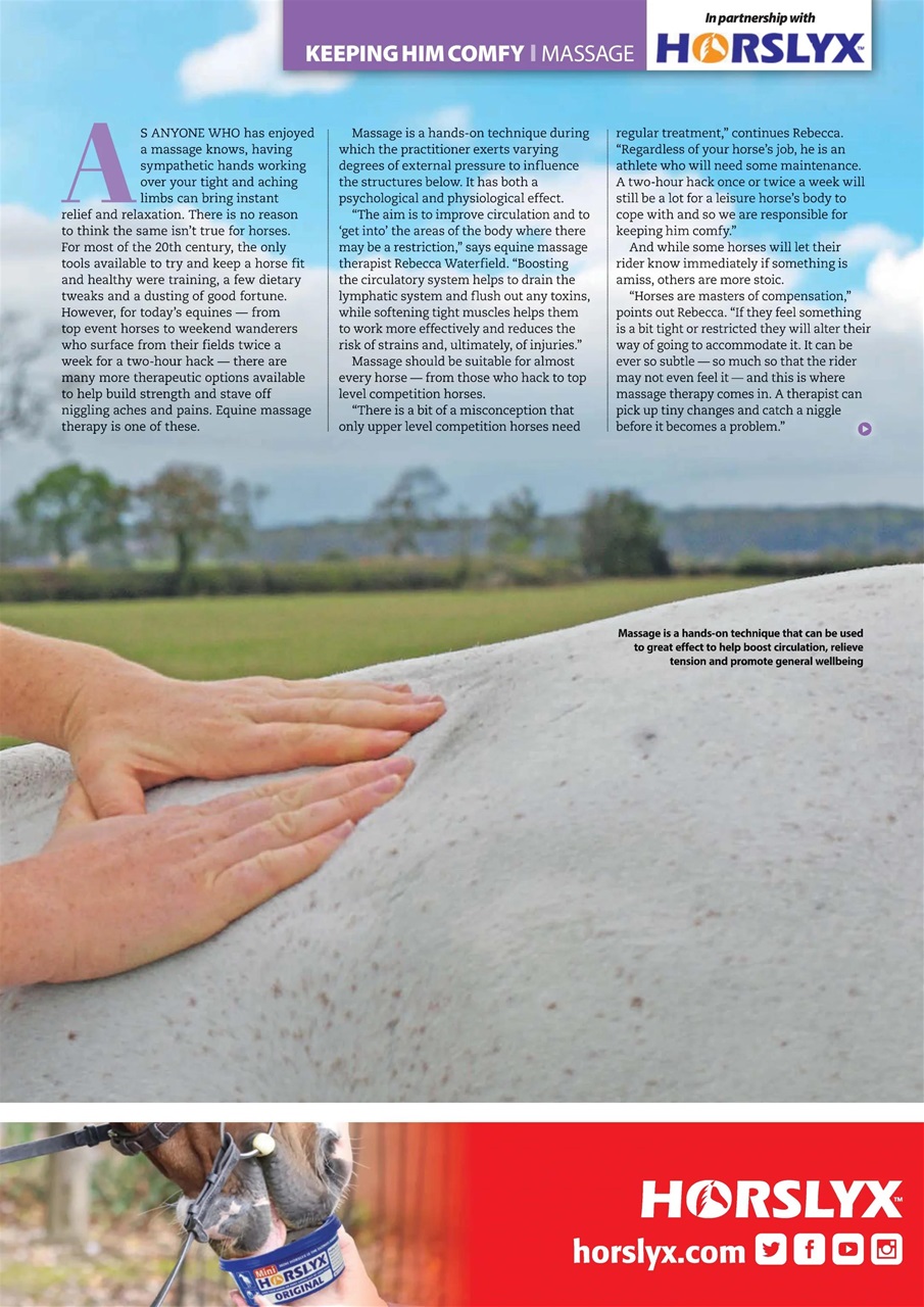 Your Horse Preview Pages