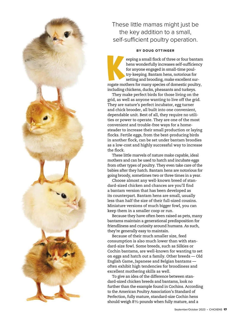Chickens Magazine Preview Pages