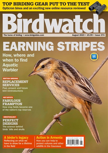 Birdwatch Magazine issue 