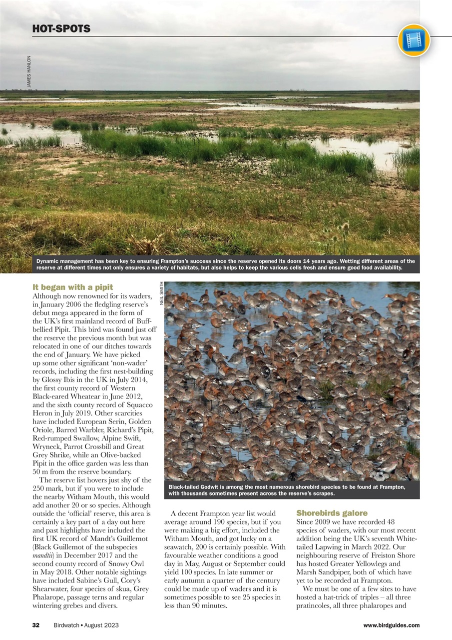 Birdwatch Magazine Preview Pages