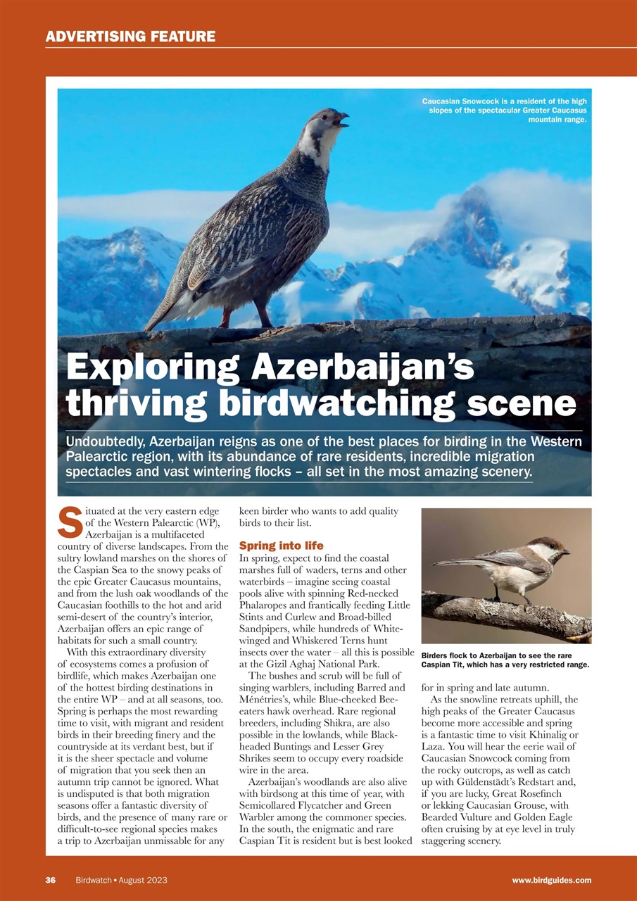 Birdwatch Magazine Preview Pages