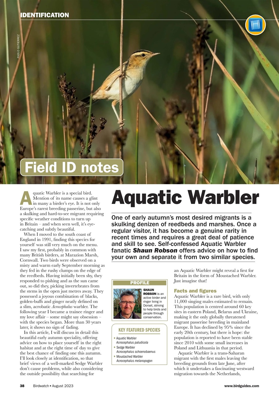 Birdwatch Magazine Preview Pages