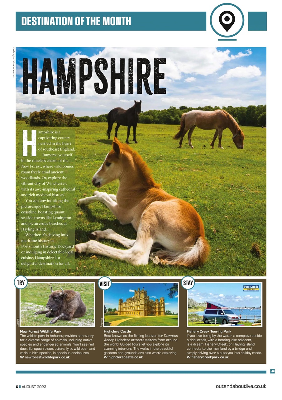 Campervan Preview Pages