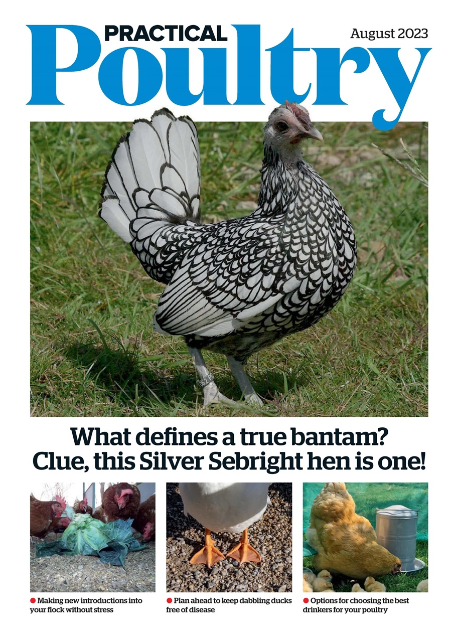 The Country Smallholder Preview Pages