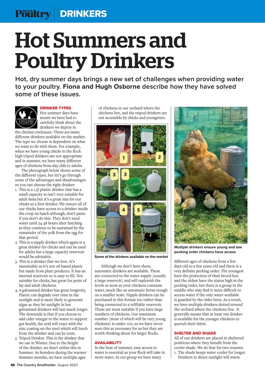 The Country Smallholder Preview Pages
