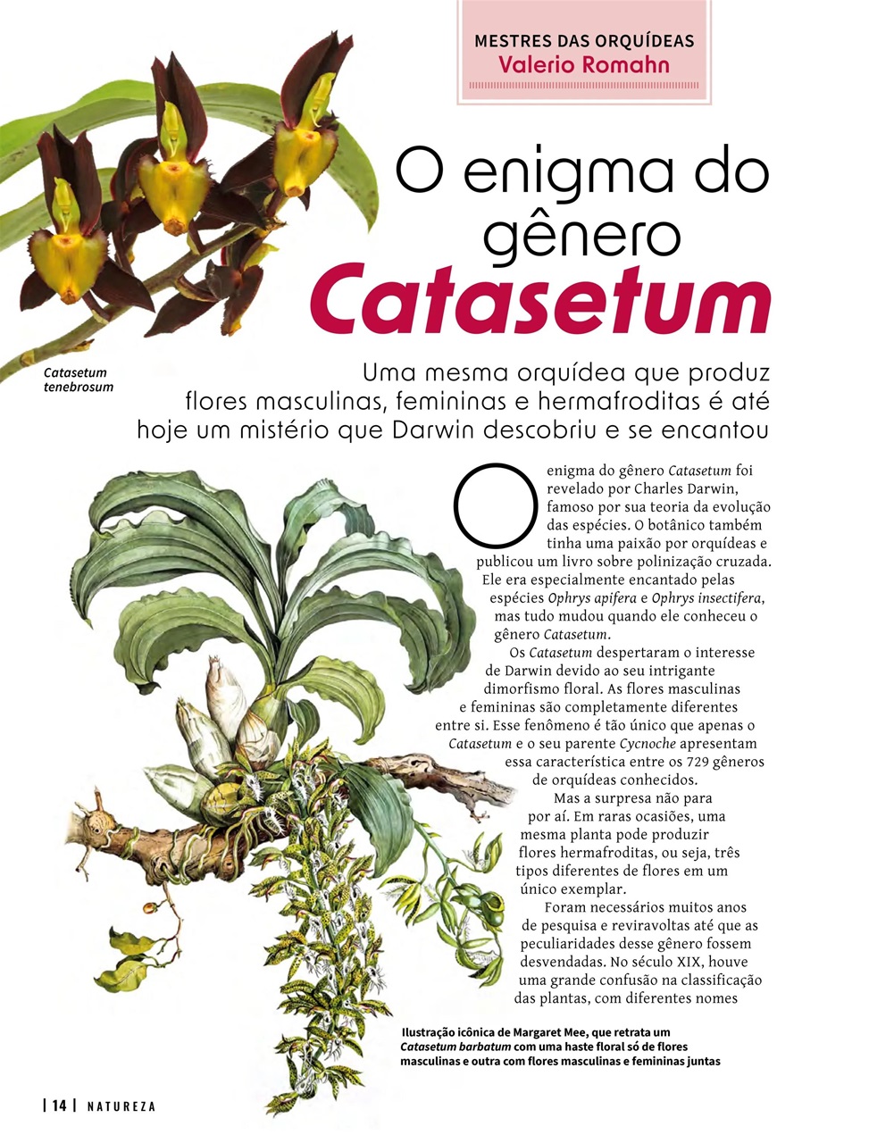 Natureza Preview Pages