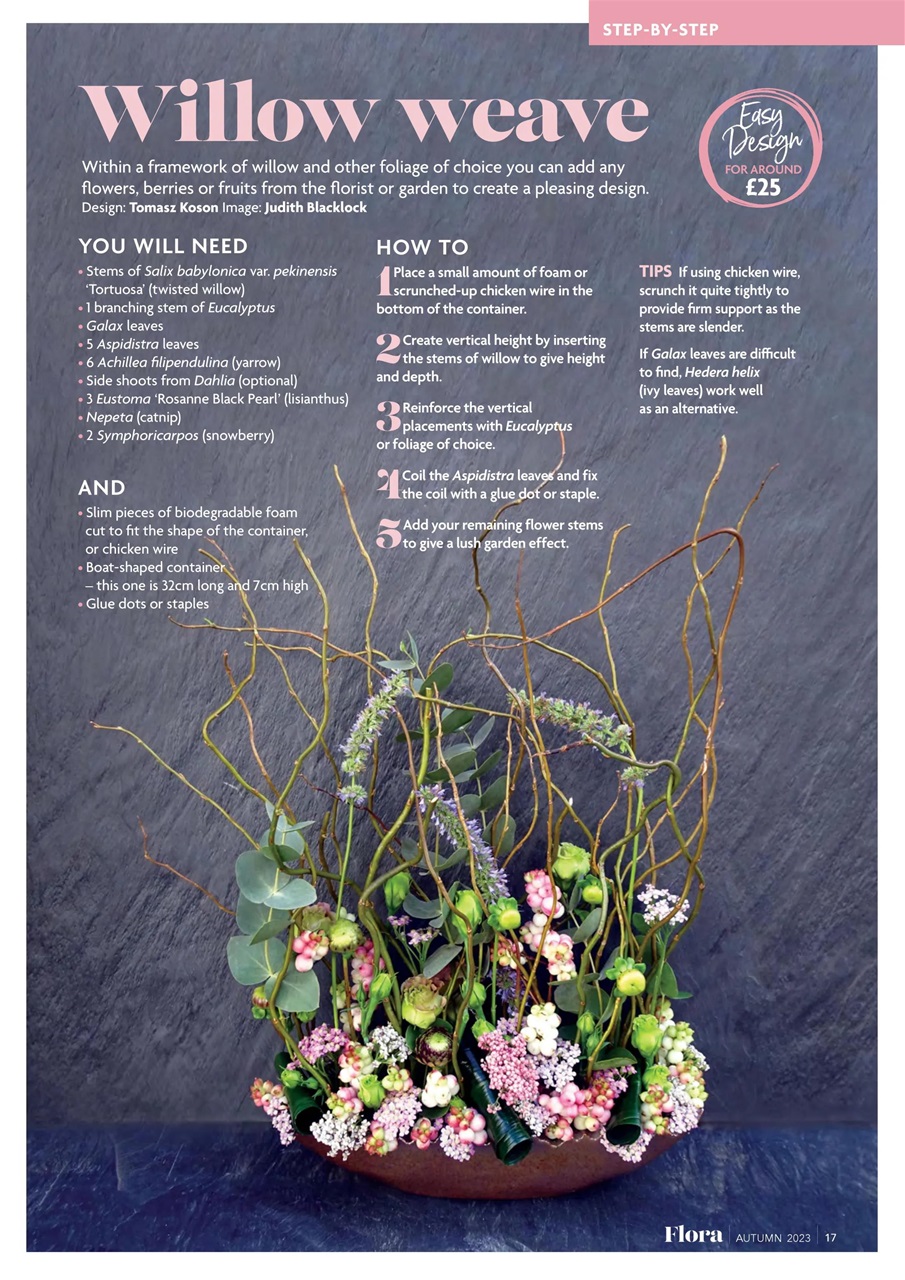 Flora International Preview Pages